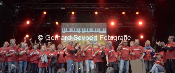 Geldernsein Festival 2013
